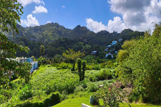 Ma-Cabane - Vente Maison ROBERT, 351 m²