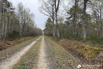 Ma-Cabane - Vente Maison Romorantin-Lanthenay, 110 m²