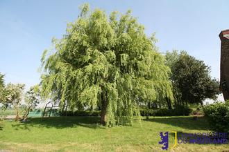 Ma-Cabane - Vente Maison RUBROUCK, 163 m²