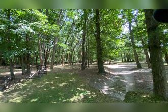 Ma-Cabane - Vente Maison SAINT-BRICE-SOUS-FORET, 250 m²