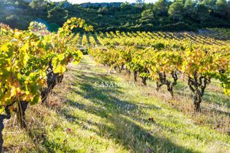 Ma-Cabane - Vente Maison SAINT CHINIAN, 200 m²