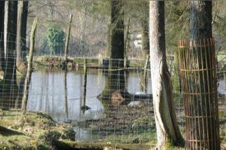 Ma-Cabane - Vente Maison SAINT CLEMENT EN RANCOUDRAY, 154 m²