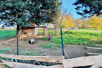 Ma-Cabane - Vente Maison SAINT-DENIS-DE-CABANNE, 220 m²