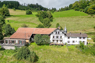 Ma-Cabane - Vente Maison SAINT-DIE-DES-VOSGES, 450 m²