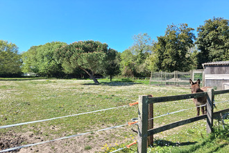 Ma-Cabane - Vente Maison SAINT-GEORGES-D'OLERON, 161 m²