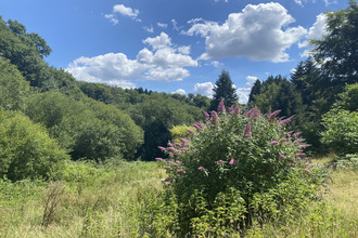 Ma-Cabane - Vente Maison Saint-Hilaire-les-Courbes, 239 m²