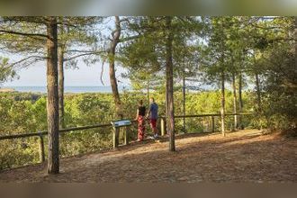 Ma-Cabane - Vente Maison Saint-Jean-de-Monts, 32 m²