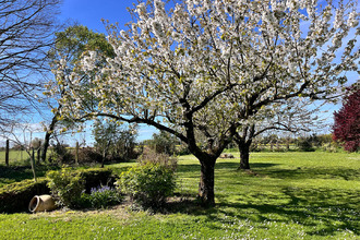 Ma-Cabane - Vente Maison SAINT-MEDARD-D'AUNIS, 296 m²