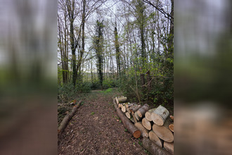 Ma-Cabane - Vente Maison SAINT-PAUL, 168 m²