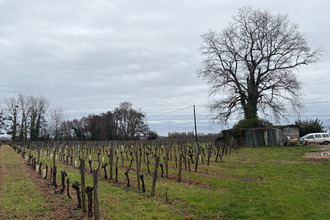 Vente Maison 33330, SAINT PEY D ARMENS France