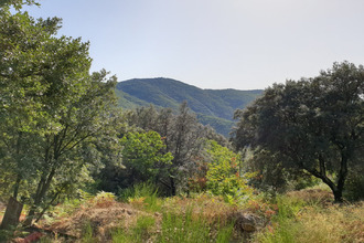 Ma-Cabane - Vente Maison SAINT ROMAN DE CODIERES, 0 m²