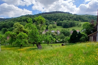 Ma-Cabane - Vente Maison Sondernach, 85 m²
