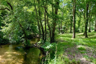 Ma-Cabane - Vente Maison Sore, 575 m²