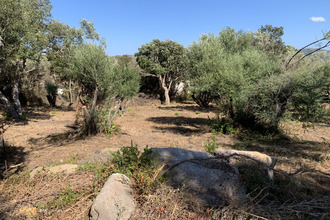 Ma-Cabane - Vente Maison Sotta, 85 m²