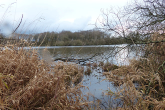 Ma-Cabane - Vente Maison TREBEDAN, 41 m²