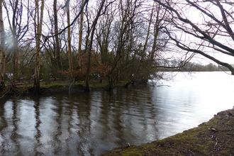 Ma-Cabane - Vente Maison TREBEDAN, 41 m²