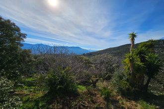 Ma-Cabane - Vente Maison VALLE-DI-MEZZANA, 192 m²