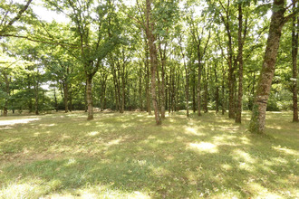 Ma-Cabane - Vente Maison Vienne-en-Val, 171 m²