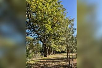 Ma-Cabane - Vente Maison Villefranche-sur-Cher, 240 m²