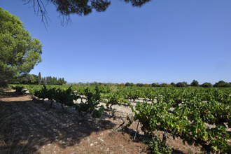 Ma-Cabane - Vente Maison Visan, 267 m²