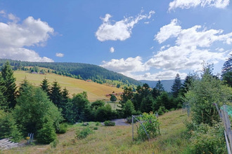 Ma-Cabane - Vente Maison Xonrupt-Longemer, 300 m²