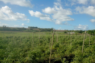 Vente Terrain 97118,  France