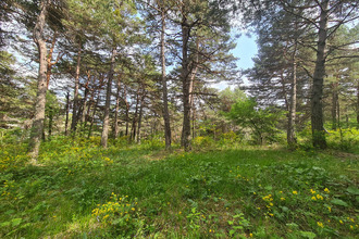 Vente Terrain 06750, Andon France