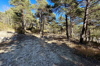 Vente Terrain 06750, Andon France