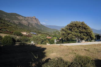 Ma-Cabane - Vente Terrain Appietto, 1248 m²