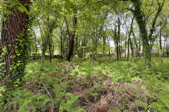 Ma-Cabane - Vente Terrain Arès, 572 m²