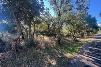 Ma-Cabane - Vente Terrain ARGELES SUR MER, 3800 m²