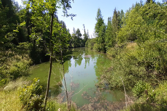 Ma-Cabane - Vente Terrain Baccarat, 6000 m²