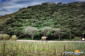 Vente Terrain 66650, Banyuls-sur-Mer France