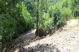 Ma-Cabane - Vente Terrain BARJAC, 2515 m²