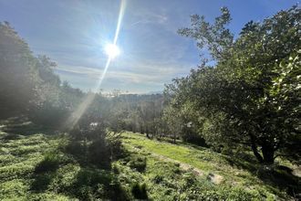 Ma-Cabane - Vente Terrain Bastia, 1948 m²