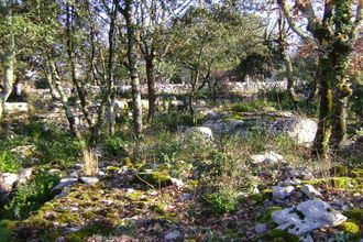 Vente Terrain 07120, Beaume France