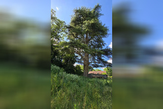 Vente Terrain 86580, BIARD France