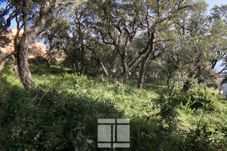 Ma-Cabane - Vente Terrain Brando, 1660 m²