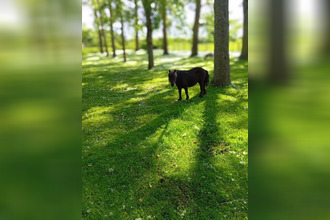 Ma-Cabane - Vente Terrain Braye-sous-Faye, 6900 m²