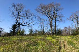 Ma-Cabane - Vente Terrain BUROS, 3770 m²
