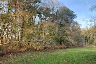 Ma-Cabane - Vente Terrain CAMORS, 12500 m²