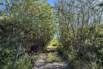 Ma-Cabane - Vente Terrain CAUNES-MINERVOIS, 3070 m²