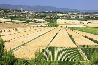 Ma-Cabane - Vente Terrain CAZOULS LES BEZIERS, 654 m²