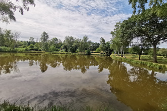 Ma-Cabane - Vente Terrain Chabris, 8613 m²