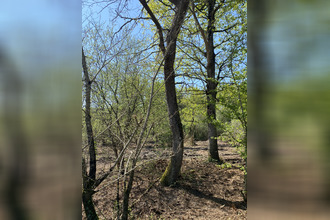 Ma-Cabane - Vente Terrain Challans, 2200 m²