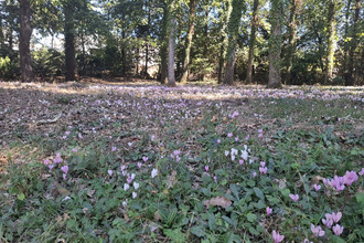 Ma-Cabane - Vente Terrain Chambray-lès-Tours, 6412 m²