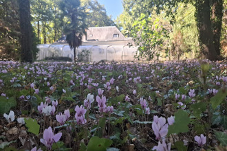 Ma-Cabane - Vente Terrain Chambray-lès-Tours, 6412 m²