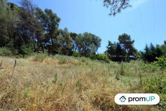 Ma-Cabane - Vente Terrain Contes, 10000 m²