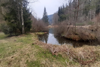 Ma-Cabane - Vente Terrain Corcieux, 8000 m²
