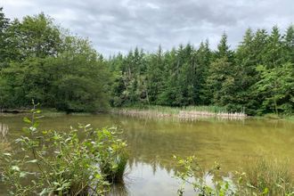 Ma-Cabane - Vente Terrain COULLONS, 23143 m²